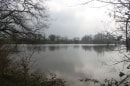 Etang de Richebourg